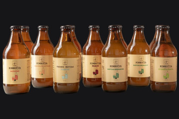 Tealure kombucha 0.33l