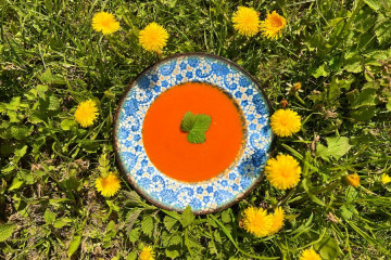 Soup of the day (Pureed vegetable soup)