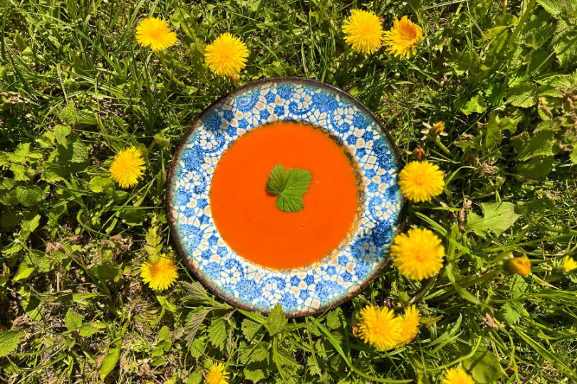 Soup of the day (Pureed vegetable soup)